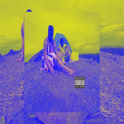 Noi$ Doi$ Pela$ Nota$ - Single