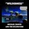 Wilderness - Michael Graves and the Excavators lyrics