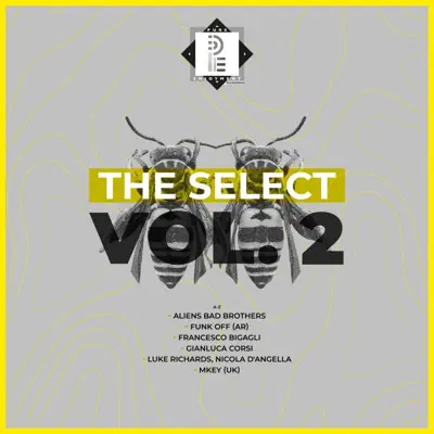 Posłuchaj utworu The Select Vol. 2 wykonywanego przez Various Artists.