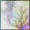 Kuzgun (feat. Mistral & Catraz) - THE HOP lyrics