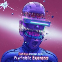 Psychedelic Experience - Single - Fresh Drop, MKE & Jondou