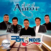 Así Es el Amor — Grupo Bryndis