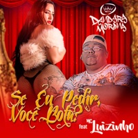 Se Eu Pedir, Você Bota? (feat. Mc Luizinho) - Single - Dandara Morena