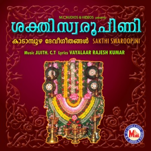 Sakthi Swaroopini