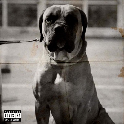 Scacciacani (feat. Viper) - Single