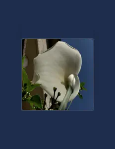 Listen to César Salazar, watch music videos, read bio, see tour dates & more!