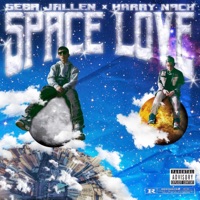 Space Love (feat. Harry Nach) - Single - Sebastian Jallen