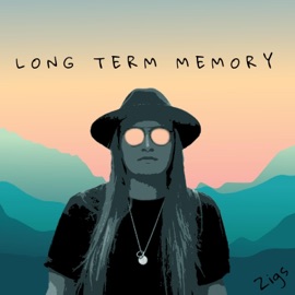 Long Term Memory Zigs