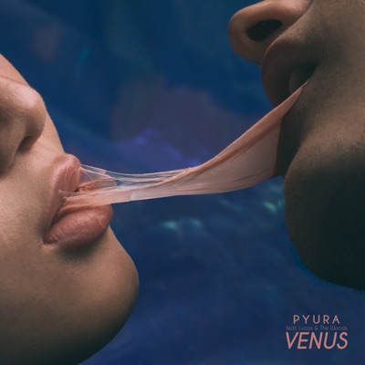 Venus (feat. Lucas & The Woods) - Single