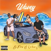 Wavey (feat. Jriley) - Single - Ty'Dre