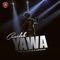 Yawa - Camidoh lyrics