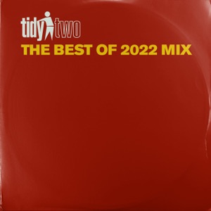 Tidy Two - The Best of 2022 (DJ MIX)