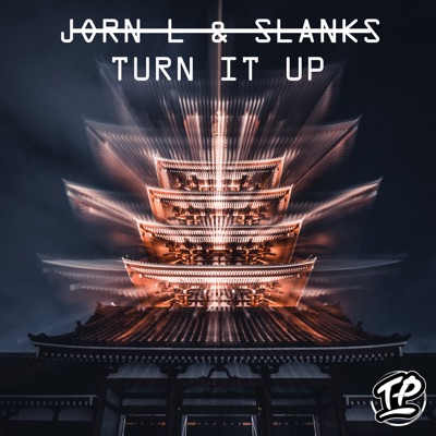 Turn It Up - Single