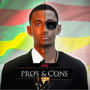 Pros & Cons