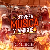 Cerveza, Música y Amigos - Single - Códice