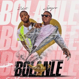 Bolanle (feat. Spyro) 2dot