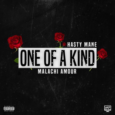 One of a Kind (feat. Malachi Amour) - Single