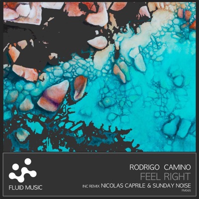 Feel Right - Single