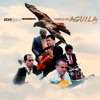 Vuelo de Águila, Vol. 4