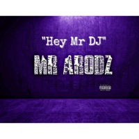 Hey Mr DJ - Single - Mr Arodz