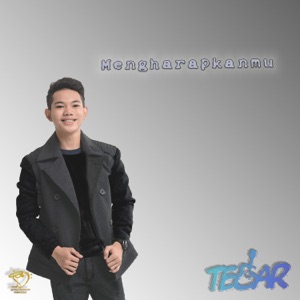 Mengharapkanmu Album Art