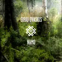 Ruke (Quantec Chacruna Remix) — Giriu Dvasios