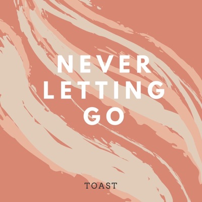 Never Letting Go - Single
