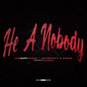 He a Nobody (feat. HeemBeezy & Dody6) - Single