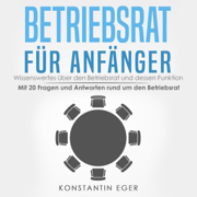 Betriebsrat für Anfänger [Works Council for Beginners] (Unabridged)