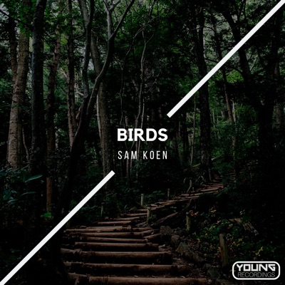 Birds - Single