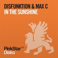 In the Sunshine (Remixes) - Single - Disfunktion & Max'C
