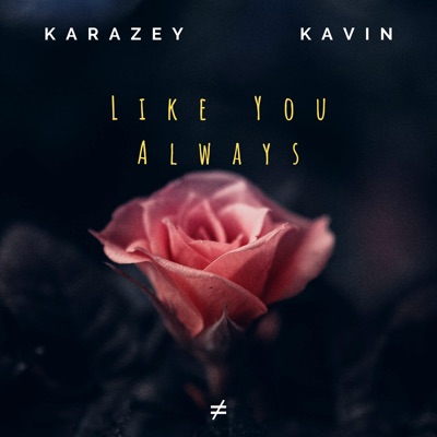 Like You Always (Radio Edit) - Single