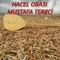 Hacel Obası - Mustafa Tereci lyrics
