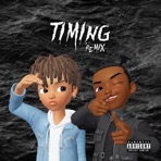 Timing (feat. YMC Sunshine) [Remix] - Single
