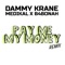 Pay Me My Money (feat. Medikal & B4bonah) - Dammy Krane lyrics