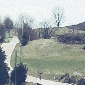 The Noose - Single