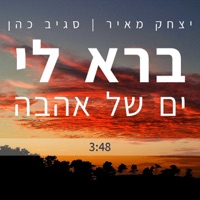 ברא לי ים של אהבה - Single - Yitzchak Meir & Sagiv Cohen