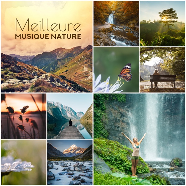 Meilleure musique nature: Sons relaxants pour la méditation, Le sommeil et le spa