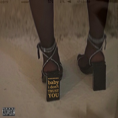 Baby I Don't Trust You - Single