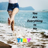 You Are Everything to Me (Reggae Mix) artwork