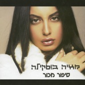 הלב artwork