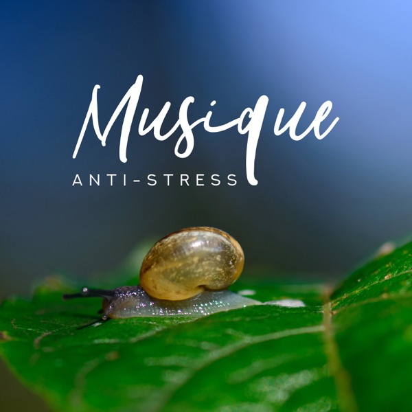 Musique anti-stress
