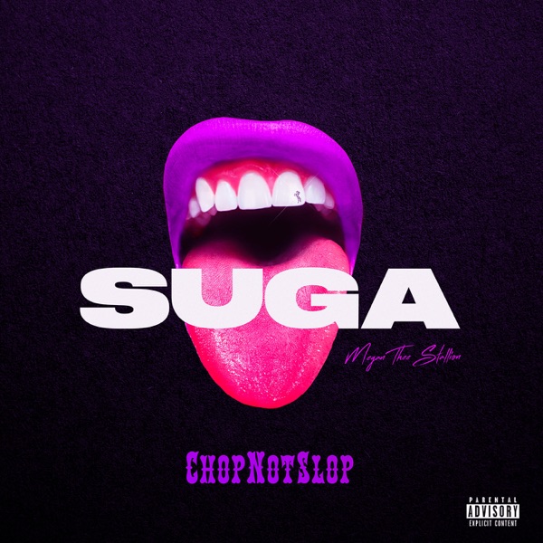 Megan Thee Stallion - Suga (Chopnotslop Remix)