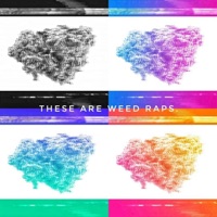 These Are Weed Raps. (feat. Teejaesohigh) - These Are Weed Raps.