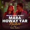 Mara Howe Yar (feat. Nadia Hashmi) [Season 1] - Single