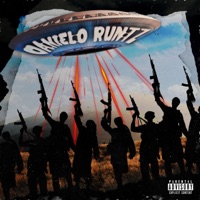 Fall In Luv - Single - DANIELO RUNTZ