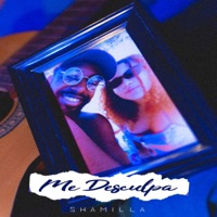 Me Desculpa - Single (feat. DJ Fabio Broa) - Single - Shamilla