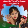 Jate Ho Tum Kyo Mera Dil Tod Ke - Single