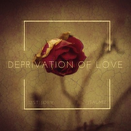 Forgive Not Forget Just Joey & Jsalmz