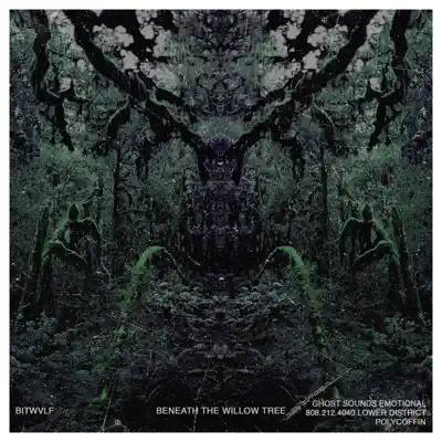 Ascolta 'Beneath the Willow Tree' di BITWVLF